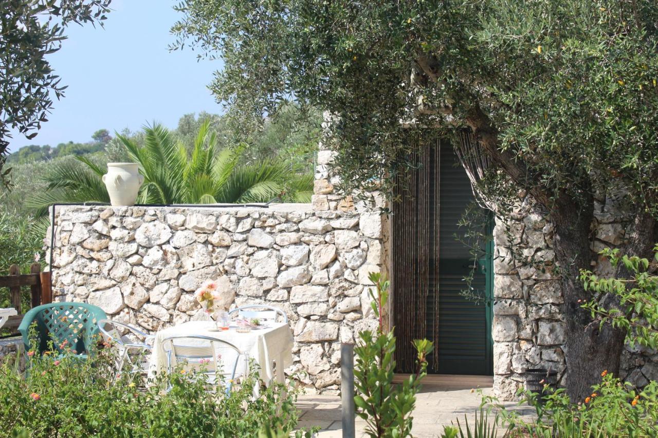 Amoru Bed & Breakfast Castro  Экстерьер фото